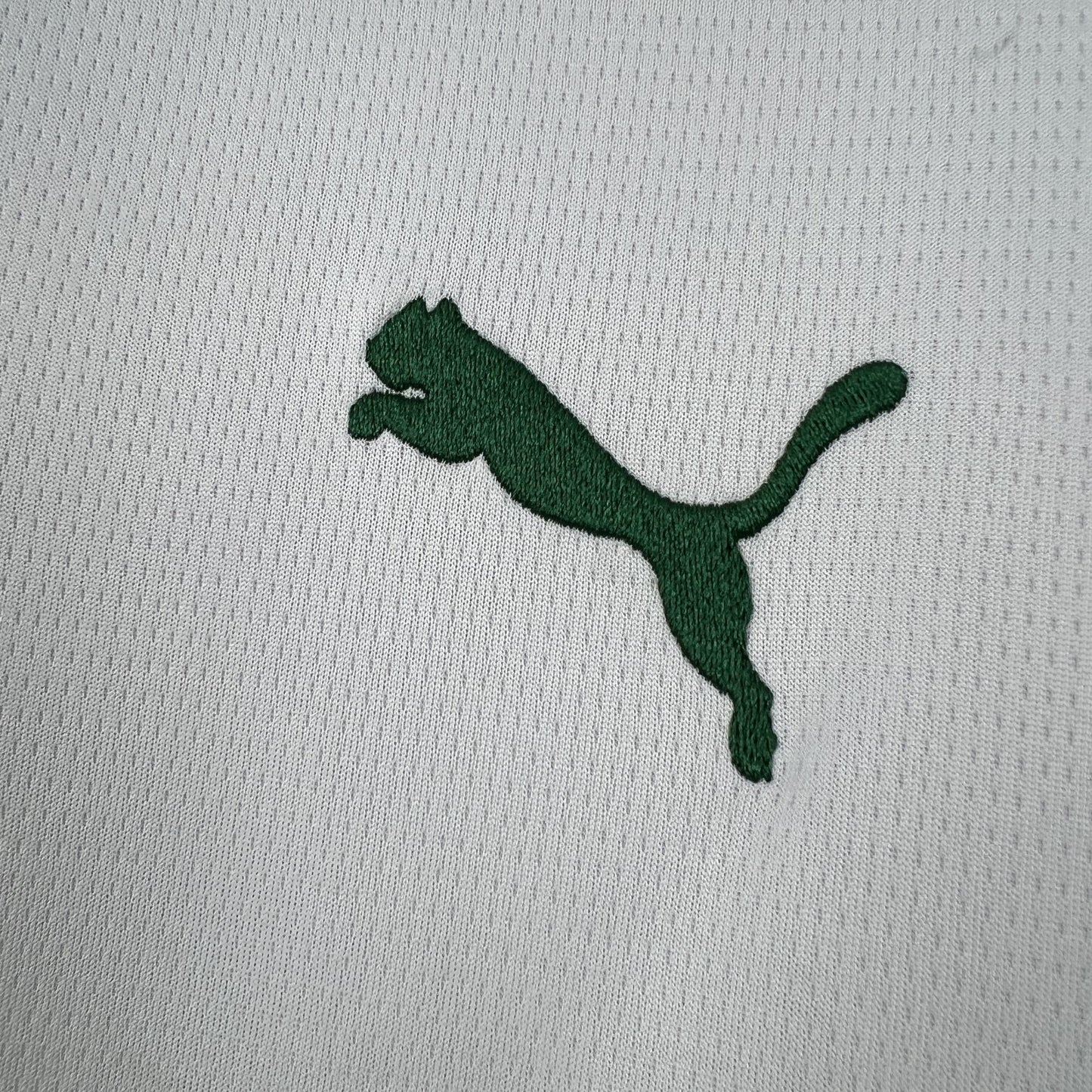 Camisa Palmeiras II 2026